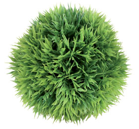 Aquarium Ornaments S W London Tooting