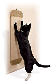 Wall Mountable Scratching Board